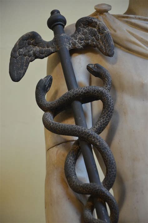 greek mythology snake staff.